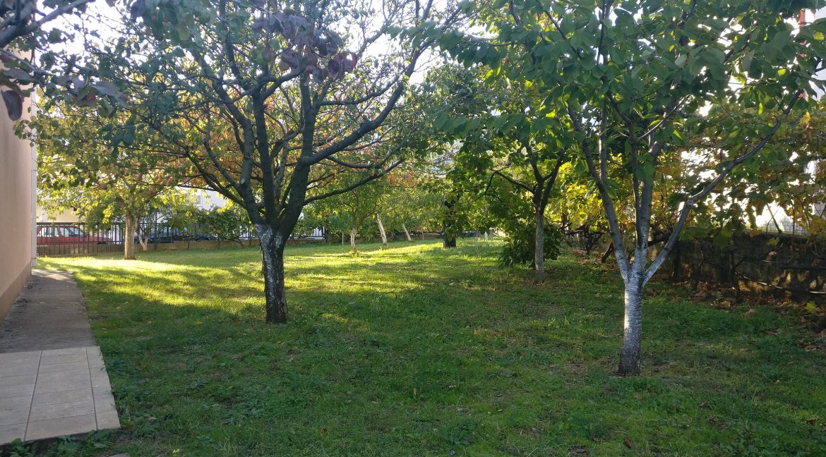 IMG 20171016 164016