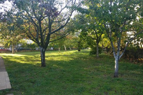IMG 20171016 164016