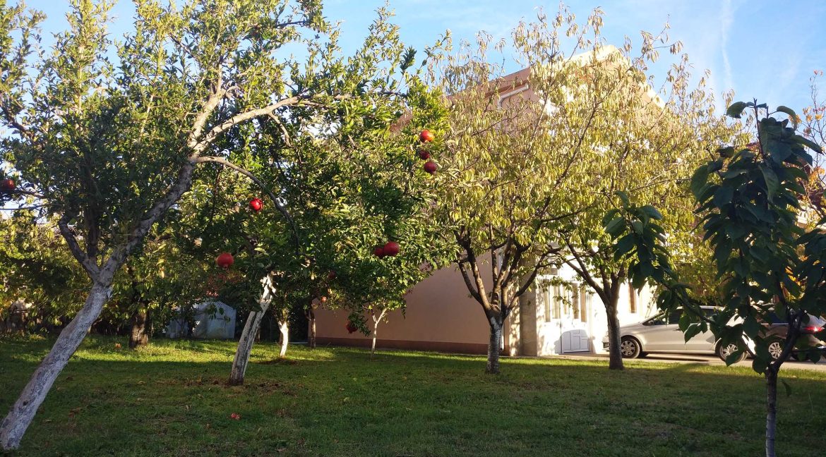 IMG 20171016 164757