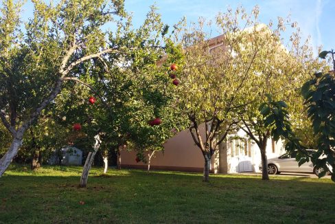 IMG 20171016 164757