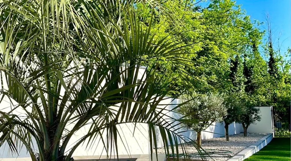 WhatsApp Image 2025 11 06 At 18.26.56