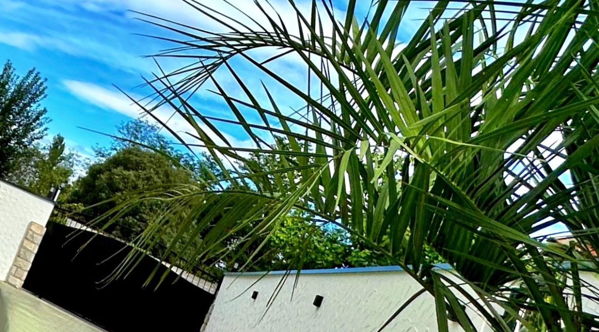 WhatsApp Image 2025 11 06 At 18.26.57 (1)