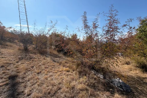 Parcele Na Prodaju Blagaj Savić NekretnineInn 1
