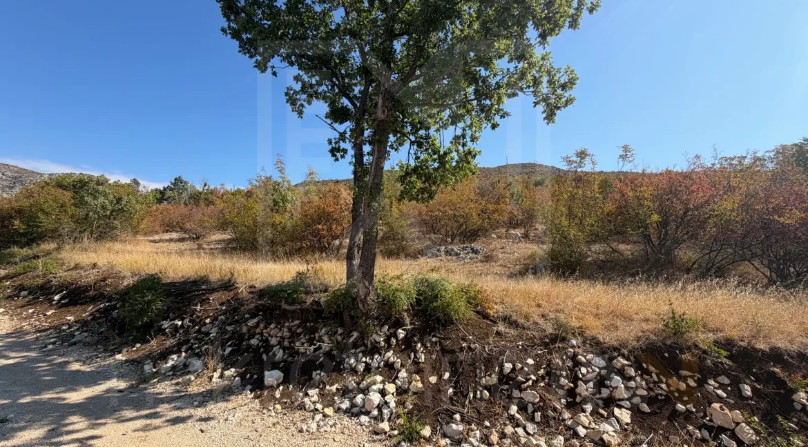 Parcele Na Prodaju Blagaj Savić NekretnineInn 15